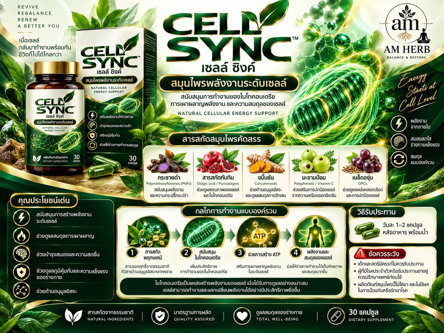 CELL-SYNC — รายละเอียดผลิตภัณฑ์
